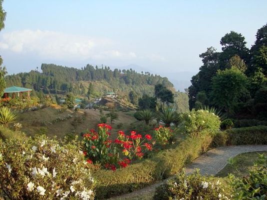 1467715505_2kalim 3.jpg